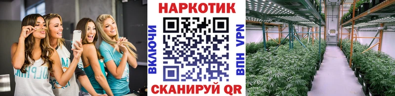 Продажа наркотиков Курчатов Марихуана Alpha PVP АМФ МЕТАМФЕТАМИН ГАШ