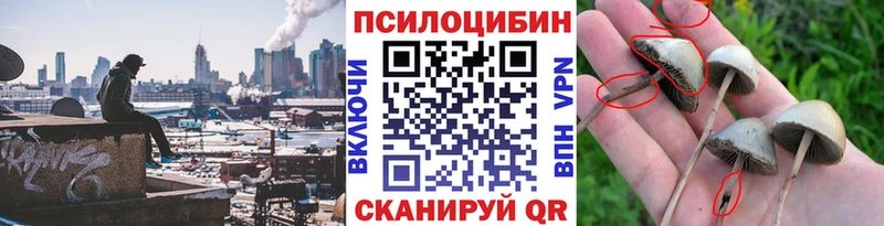 Псилоцибиновые грибы GOLDEN TEACHER  Курчатов 